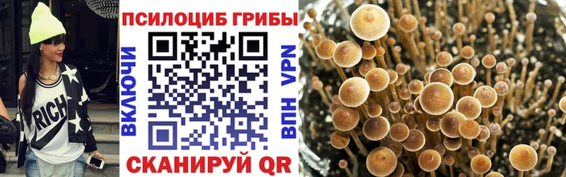 мега сайт  Верхний Тагил  Галлюциногенные грибы ЛСД 